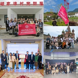 祝贺！168幸运飞艇就业工作案例入选2025年上海高校毕业生就业工作典型案例名单